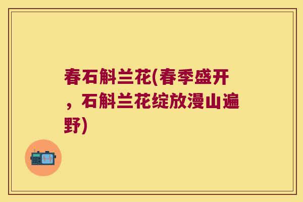 春石斛兰花(春季盛开，石斛兰花绽放漫山遍野)