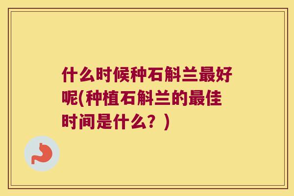 什么时候种石斛兰最好呢(种植石斛兰的最佳时间是什么？)