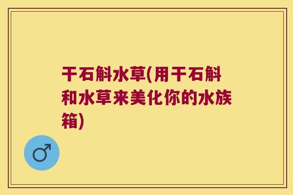 干石斛水草(用干石斛和水草来美化你的水族箱)