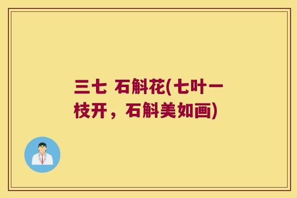 三七 石斛花(七叶一枝开，石斛美如画)