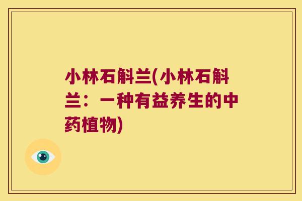 小林石斛兰(小林石斛兰:一种有益养生的植物) 小林石斛兰(小林石斛兰:一种有益养生的植物)