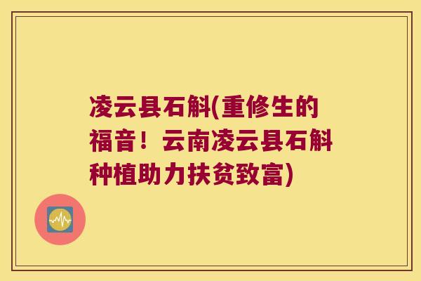 凌云县石斛(重修生的福音！云南凌云县石斛种植助力扶贫致富)