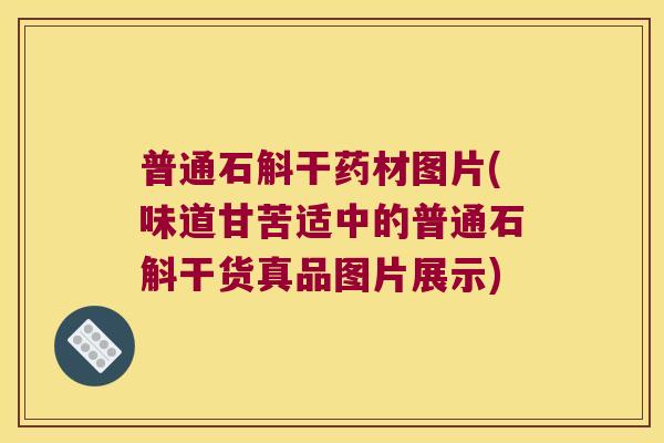 普通石斛干药材图片(味道甘苦适中的普通石斛干货真品图片展示)