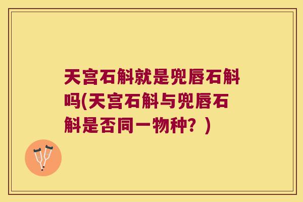 天宫石斛就是兜唇石斛吗(天宫石斛与兜唇石斛是否同一物种？)