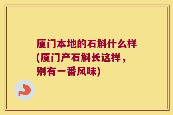 厦门本地的石斛什么样(厦门产石斛长这样，别有一番风味)