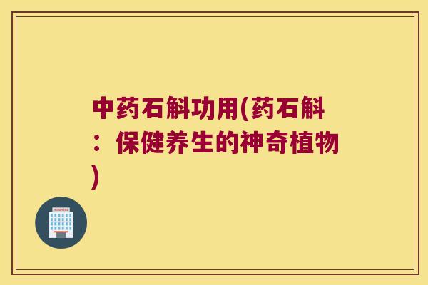 中药石斛功用(药石斛：保健养生的神奇植物)