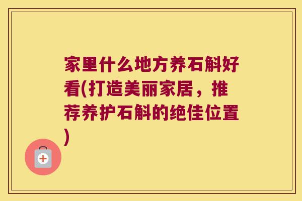家里什么地方养石斛好看(打造美丽家居，推荐养护石斛的绝佳位置)