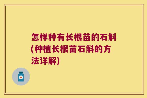 怎样种有长根苗的石斛(种植长根苗石斛的方法详解)