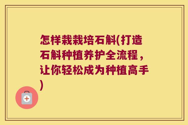 怎样栽栽培石斛(打造石斛种植养护全流程，让你轻松成为种植高手)