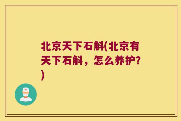 北京天下石斛(北京有天下石斛，怎么养护？)