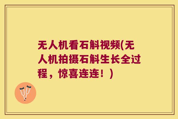 无人机看石斛视频(无人机拍摄石斛生长全过程，惊喜连连！)