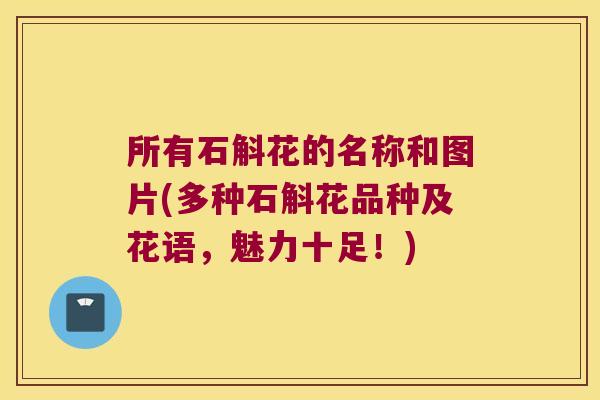 所有石斛花的名称和图片(多种石斛花品种及花语，魅力十足！)