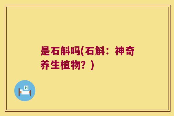 是石斛吗(石斛：神奇养生植物？)