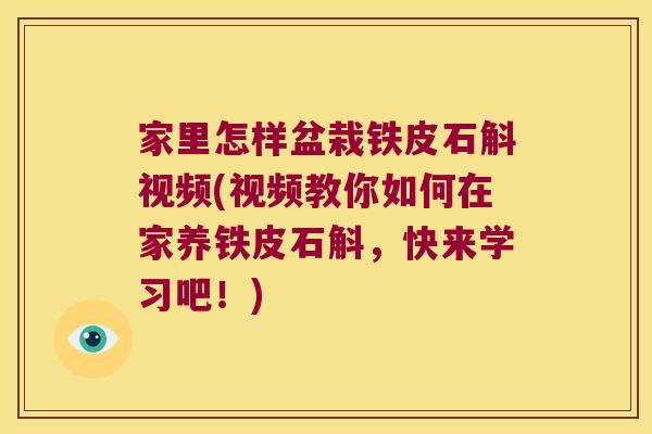 家里怎样盆栽铁皮石斛视频(视频教你如何在家养铁皮石斛，快来学习吧！)