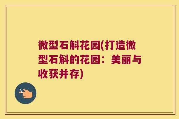 微型石斛花园(打造微型石斛的花园：美丽与收获并存)