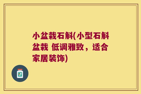 小盆栽石斛(小型石斛盆栽 低调雅致,适合家居装饰) 小盆栽石斛(小型石斛盆栽 低调雅致,适合家居装饰)