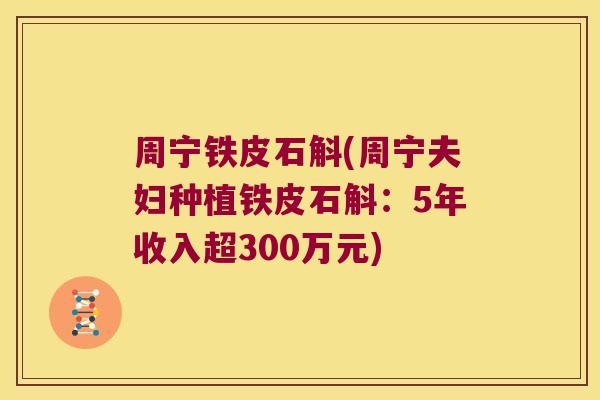 周宁铁皮石斛(周宁夫妇种植铁皮石斛：5年收入超300万元)