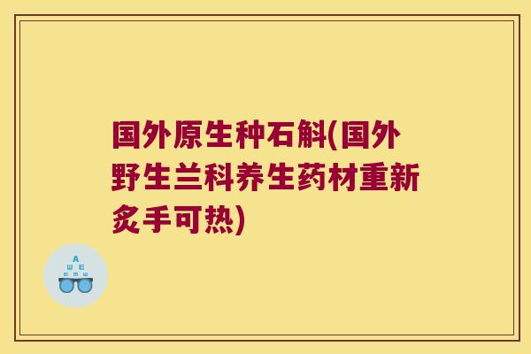 国外原生种石斛(国外野生兰科养生药材重新炙手可热)