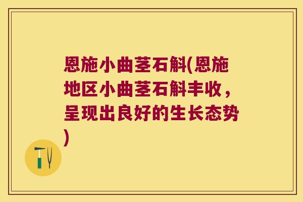 恩施小曲茎石斛(恩施地区小曲茎石斛丰收，呈现出良好的生长态势)