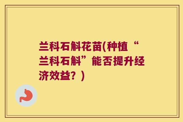 兰科石斛花苗(种植“兰科石斛”能否提升经济效益？)
