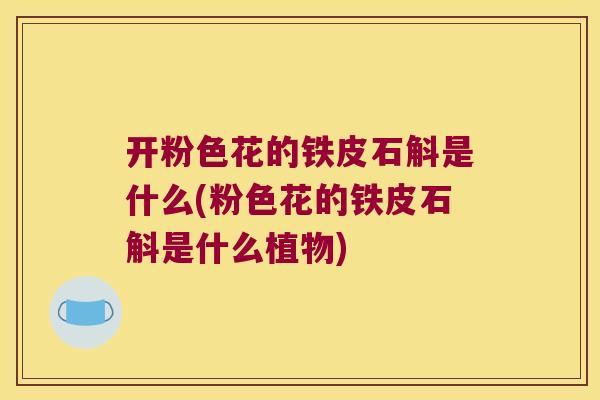 开粉色花的铁皮石斛是什么(粉色花的铁皮石斛是什么植物)