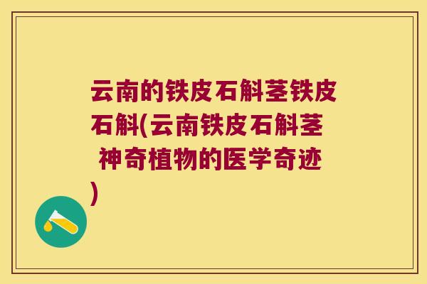 云南的铁皮石斛茎铁皮石斛(云南铁皮石斛茎 神奇植物的医学奇迹)