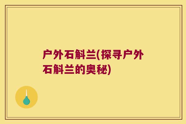 户外石斛兰(探寻户外石斛兰的奥秘)
