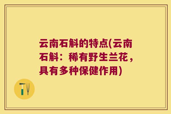 云南石斛的特点(云南石斛：稀有野生兰花，具有多种保健作用)