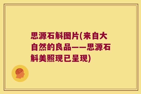 思源石斛图片(来自大自然的良品——思源石斛美照现已呈现)