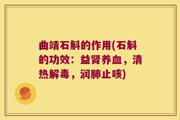 曲靖石斛的作用(石斛的功效：益肾养血，清热解毒，润肺止咳)