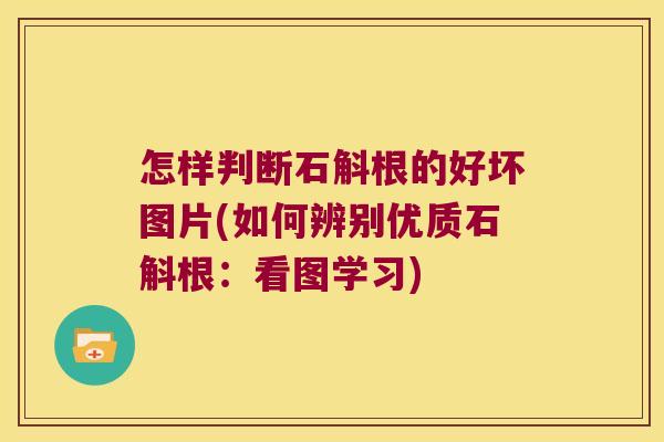 怎样判断石斛根的好坏图片(如何辨别优质石斛根：看图学习)