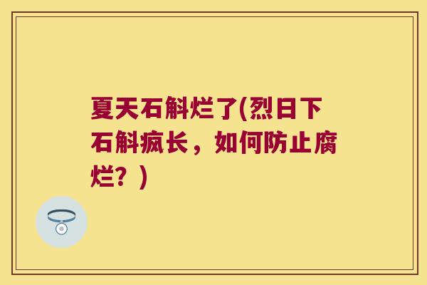 夏天石斛烂了(烈日下石斛疯长，如何防止腐烂？)