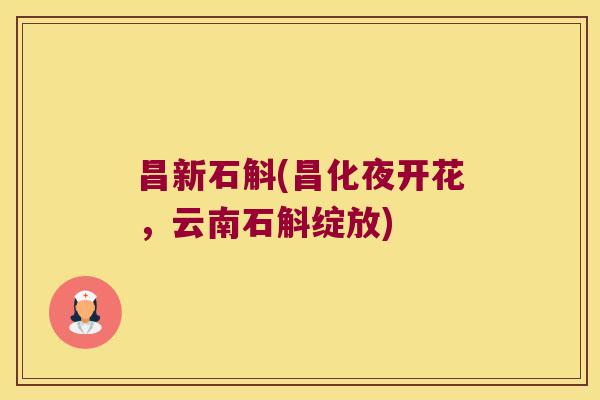 昌新石斛(昌化夜开花，云南石斛绽放)