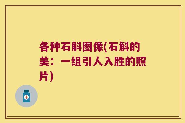 各种石斛图像(石斛的美：一组引人入胜的照片)