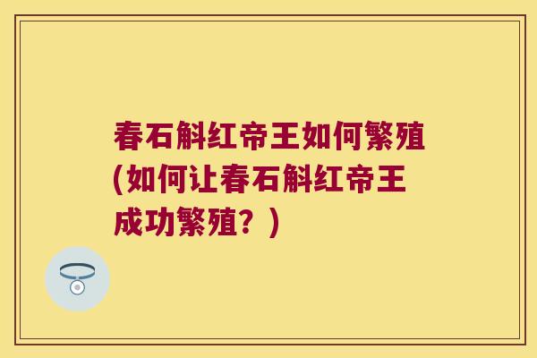 春石斛红帝王如何繁殖(如何让春石斛红帝王成功繁殖？)