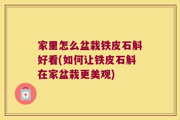 家里怎么盆栽铁皮石斛好看(如何让铁皮石斛在家盆栽更美观)
