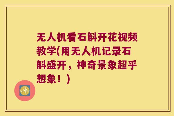 无人机看石斛开花视频教学(用无人机记录石斛盛开,神奇景象超乎想象!) 无人机看石斛开花视频教学(用无人机记录石斛盛开,神奇景象超乎想象!)