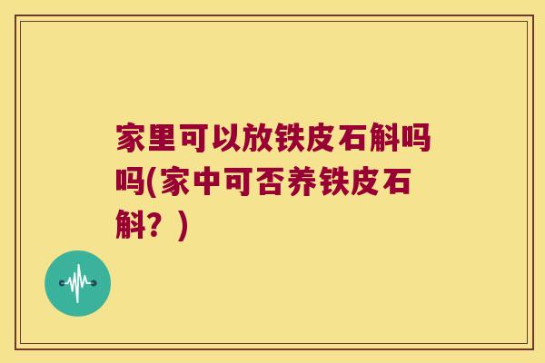 家里可以放铁皮石斛吗吗(家中可否养铁皮石斛？)