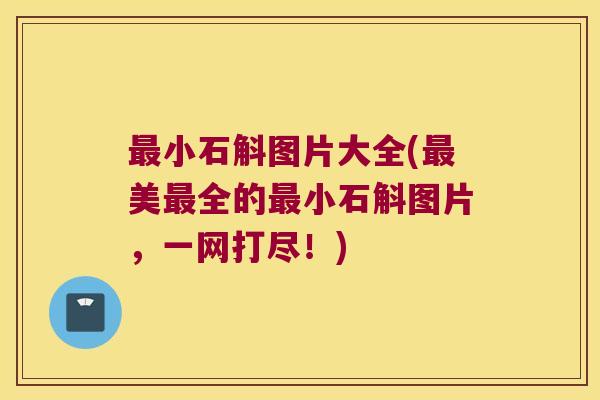 小石斛图片大全(美全的小石斛图片，一网打尽！)