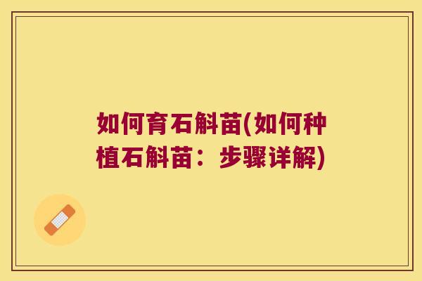 如何育石斛苗(如何种植石斛苗：步骤详解)