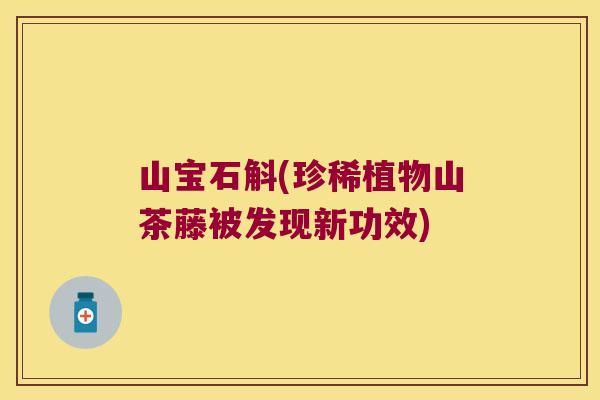 山宝石斛(珍稀植物山茶藤被发现新功效)