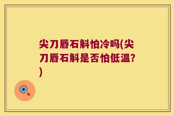 尖刀唇石斛怕冷吗(尖刀唇石斛是否怕低温?) 尖刀唇石斛怕冷吗(尖刀唇石斛是否怕低温?)