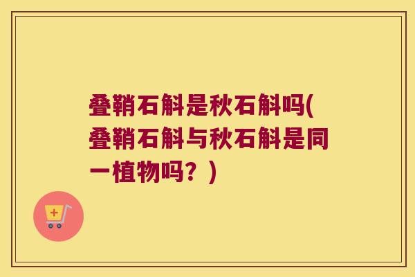 叠鞘石斛是秋石斛吗(叠鞘石斛与秋石斛是同一植物吗？)