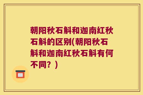朝阳秋石斛和迦南红秋石斛的区别(朝阳秋石斛和迦南红秋石斛有何不同？)