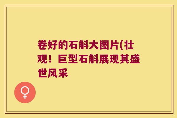 卷好的石斛大图片(壮观！巨型石斛展现其盛世风采