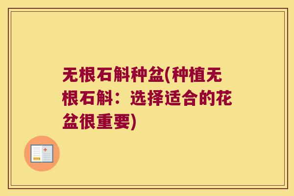 无根石斛种盆(种植无根石斛：选择适合的花盆很重要)