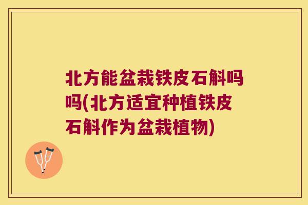 北方能盆栽铁皮石斛吗吗(北方适宜种植铁皮石斛作为盆栽植物)