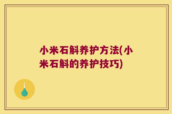 小米石斛养护方法(小米石斛的养护技巧)