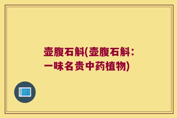 壶腹石斛(壶腹石斛：一味名贵中药植物)