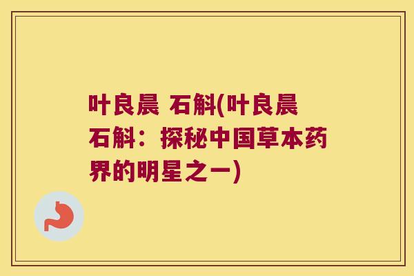 叶良晨 石斛(叶良晨石斛：探秘中国草本药界的明星之一)